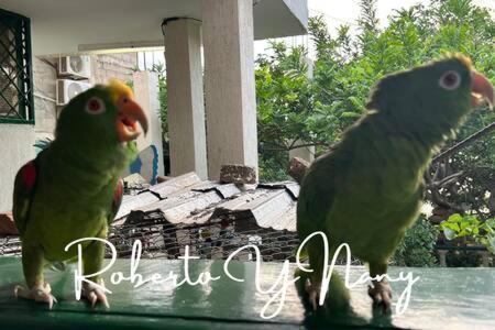 With An Unforgettable View Apartment Santa Marta (Magdalena)
